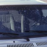 lovebug splatter on car windshield