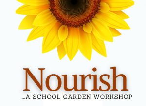 a sunlflower above the header Nourish with subheader a school garden workshop