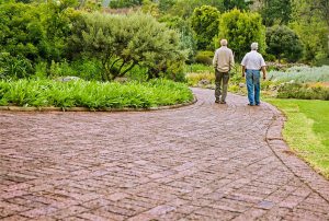 two elderly friends walk along a brick-paver trail through a lushly vegetated park. [credit: pixabay.com, steve buissinne]