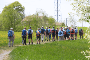 a group of hikes, including many older adults, treks along a trail through a grassy area. [credit: pixabay.com, roy buri]