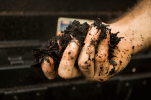 a hand holds dark, rich compost with worms. [credit: uf/ifas, camila guillen]