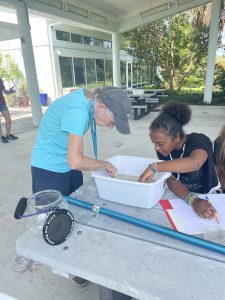 Volunteer Anne Maloney wears a bright blue shirt and dark blue pants as she leans over a picnic table to search through a white bin filled with water with a young girl, to find small aquatic insects and fish.
