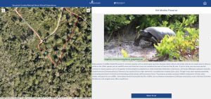A photo of a screen with an aerial view map with a trail outlined in red, and a photo of a gopher tortoise with information on the right side.