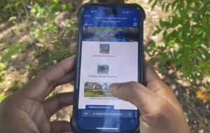 A photo of a woman holding a smart phone, with the screen showing the natural areas story map.