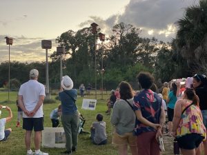 A crowd of people watches bat houses at sunset.