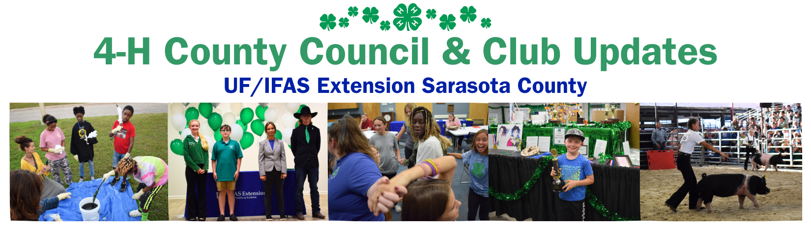 Sarasota 4-H County Council And Club Updates - UF/IFAS Extension ...