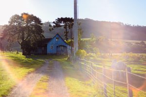 a dirt lane rolls up to a small, aged farm home, with a horse in a neighboring, fenced-in field. [credit: unsplash.com, mateus campos felipe]