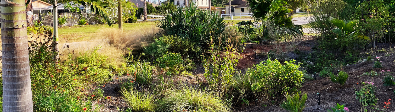 Picture of Florida-Friendly yard.