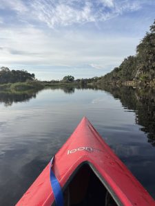An image of the front of a kayak heading down a dark river reflecting the sky, with trees and vegetation along the edges.