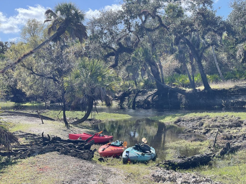 An image of three kayaks resting on the shore of a dark-colored river in a sunny, bright environment with many trees and greenery.