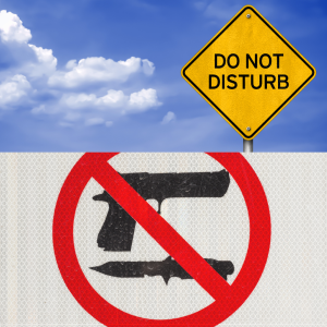 A split image with a sign on top that reads "do not disturb", and a sign with a red, scross out symbol over a gun and a knife.