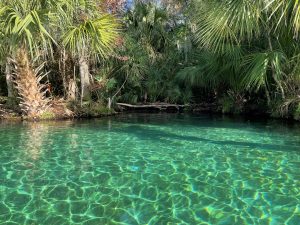 An image of a beautiful natural landscape with crystal turquoise water.
