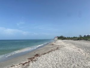 turtle beach, fronting the gulf of mexico, in sarasota county.