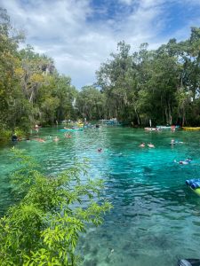 A picture of a spring.