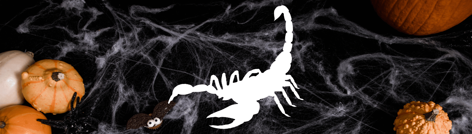 White silhouette of scorpion on Halloween-themed background, with cobwebs and pumpkins