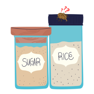 Sugar and rice in labeled, sealed containers - a confused weevil is unable to get inside
