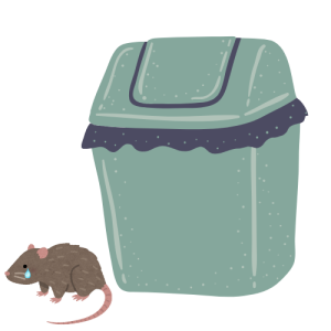 Covered, clean trash bin with a sad, hungry rat