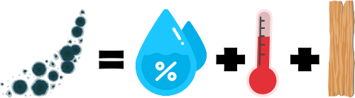 Icons showcasing ideal conditions for mold growth; mold = high relative humidity plus ideal temperature plus suitable growth medium