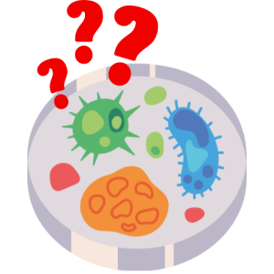 Petri dish with various living organisms; red question marks are on top