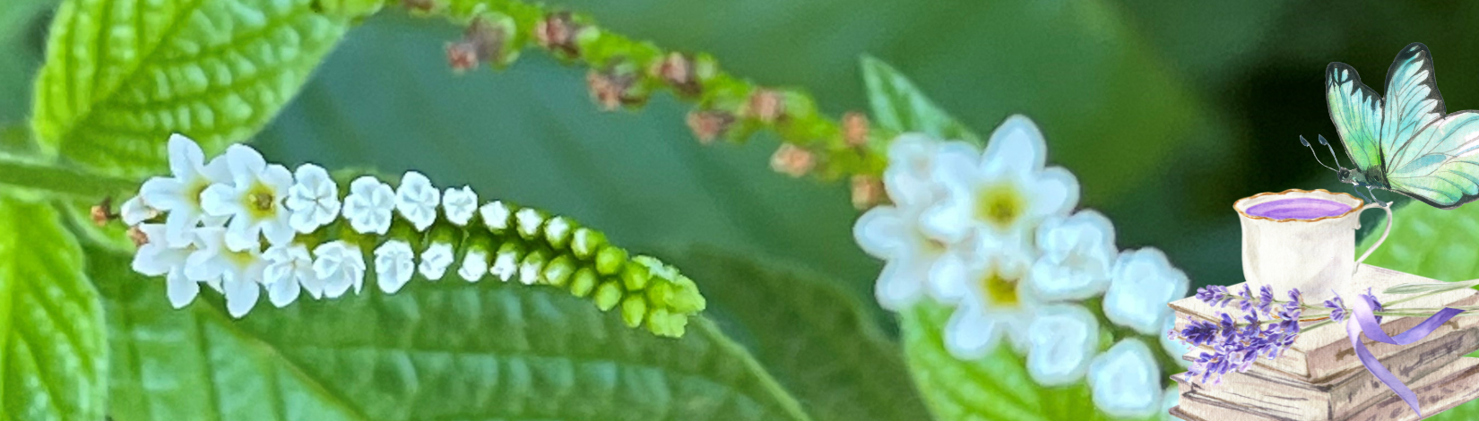 Scorpion tail and books