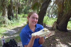 uf/ifas extension sarasota county intern kate albertus holds a the skeletal skull of an alligator during a youth summer camp outing at myakka river state park. [credit: uf/ifas extension sarasota county]