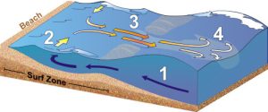 Rip current formation and effects. [CREDIT: National Oceanic and Atmospheric Administration]