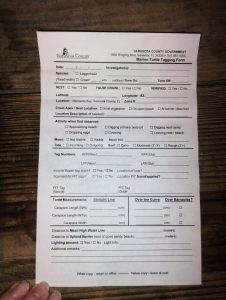 A picture of the document where we would be inputting sea turtle data.