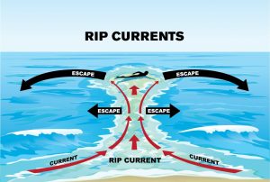 How to escape from a rip current. [CREDIT: Sea Grant Michigan]