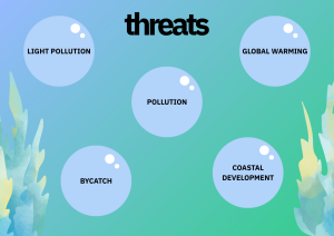 A graphic showing the threats to sea turtles. 