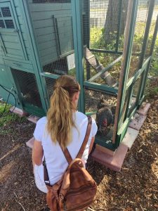Tour group member looks in at Bluey the sentinel chicken in her green coop