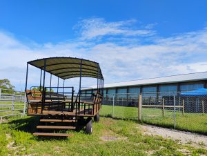 A picture of a wagon used for tours of the farm. 