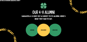 A screenshot of the website that is being discussed.