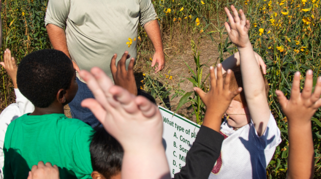 Kids raise their hands to answer a man