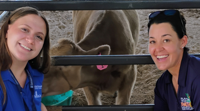 Two women crouch in front of a cow pen with a cow looking at the camera through the gate.