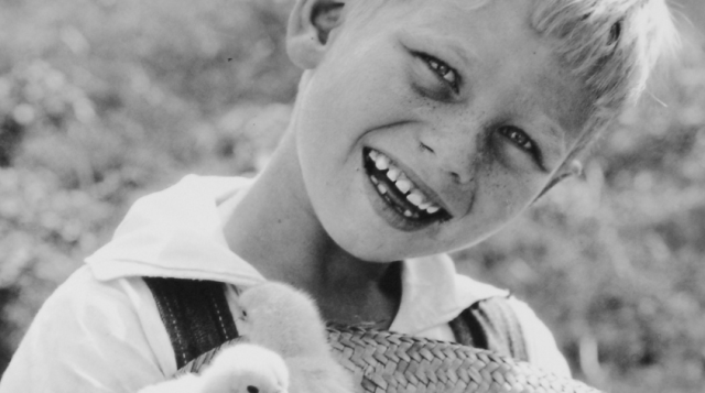 4-H boy smiles with chicks.