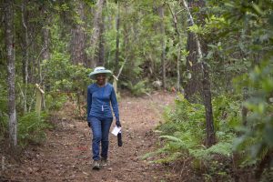 photo of woman walking along a trail in a forest