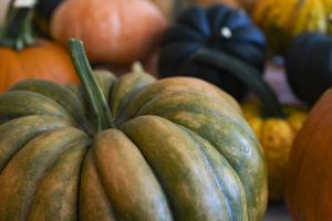 Picture of a bunch of pumpkins