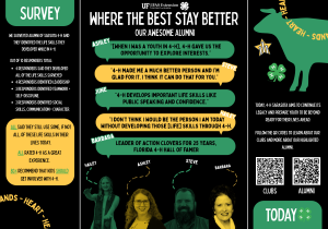 Screenshot of the planned structure of a tri-fold poster about 4-H alumni.