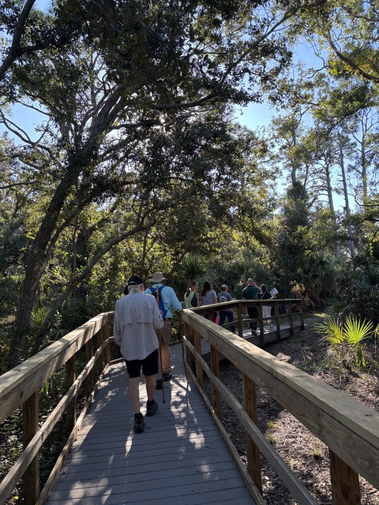 An image of a group of people walking together on a boardwalk through the forest, on a beautiful, sunny blue sky day.