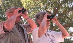photo of man and woman looking through binoculars with trees in the background