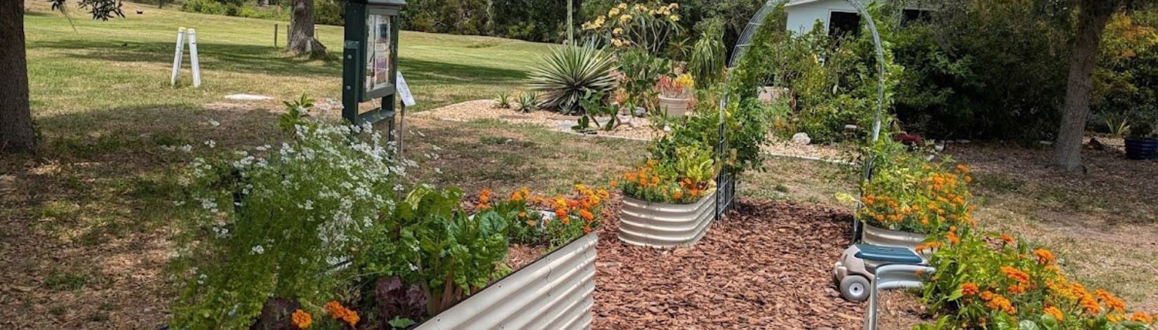 raised garden beds with food and flowers growing, a garden sign, a garden arch trellis with cattle paneling and a succulent garden at the other end.