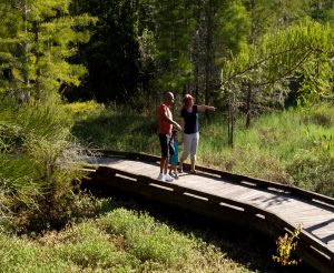 man, woman, and child walking on a boardwalk in a natural area