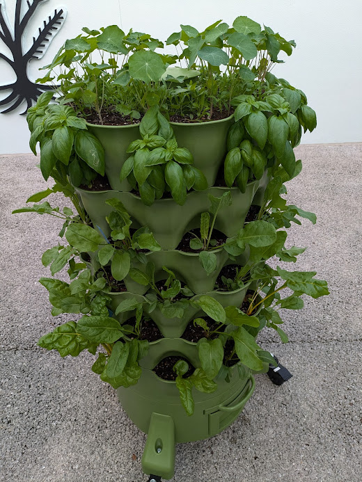 garden tower growing vegetables, herbs, and flowers not yet blooming. The tower is gren and so are most of the plants.