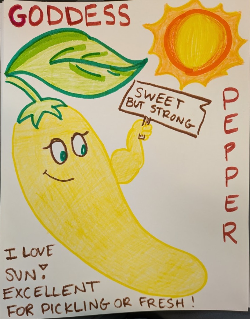 photo of a drawing of a goddess banana pepper with a strong arm muscle holding up a sign that says "sweet but strong" and shares that it loves sun, and is excellent for pickling or fresh eating. There is a bright sun in the image, too. 