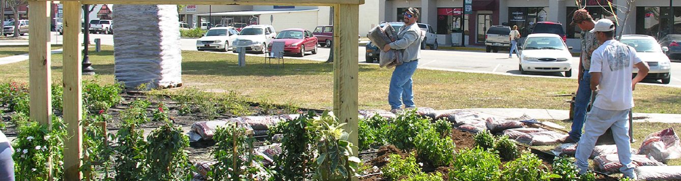 workers apply mulch to a garden
