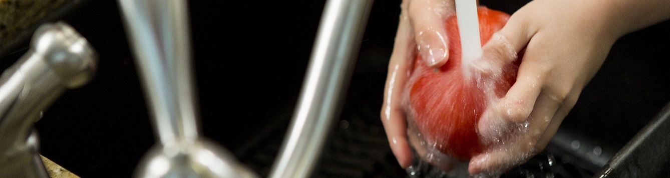 A tomato being hand-washed in a kitchen sink. [credit: uf/ifas, tyler jones]