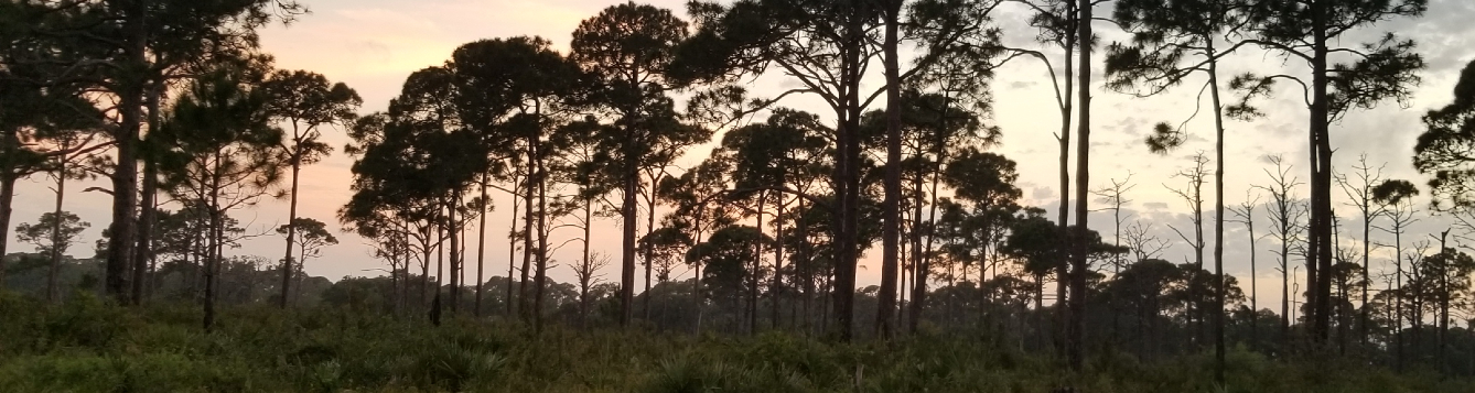 Photo credit: K. Clements