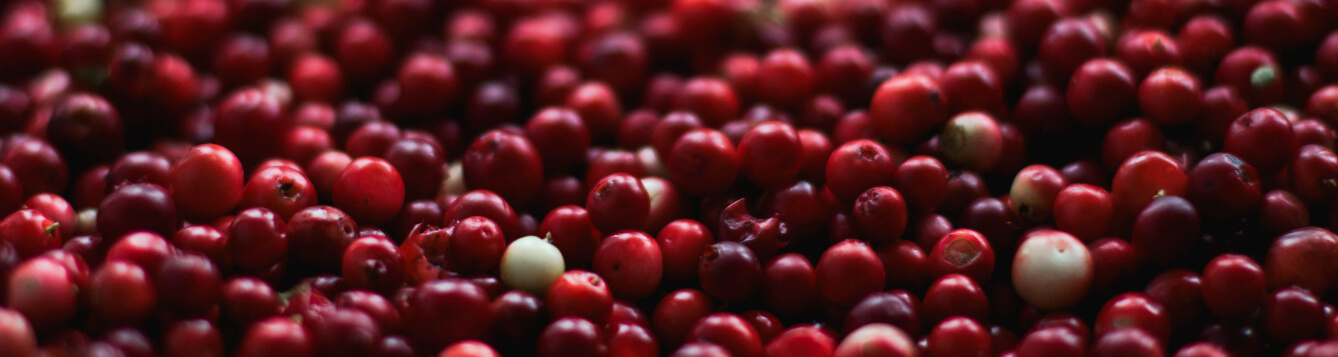 A stockpile of fresh cranberries. [CREDIT: PIxabay.com]
