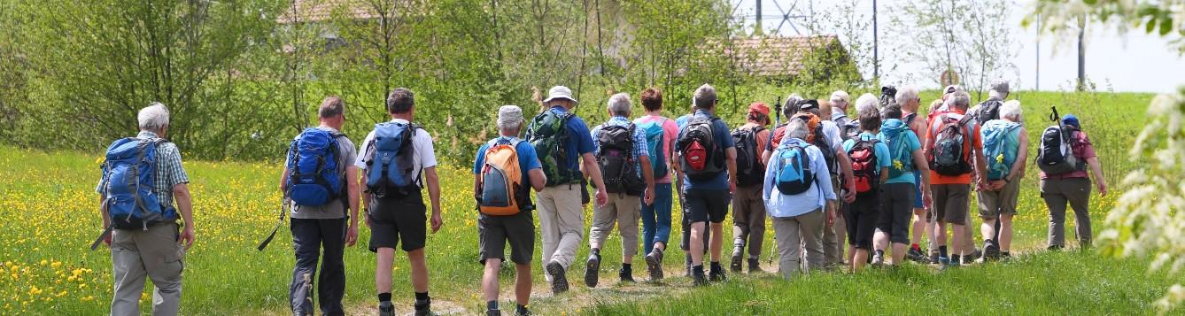 a group of older adults hiking on a trail. [credit: Roy Buri, Pixabay]
