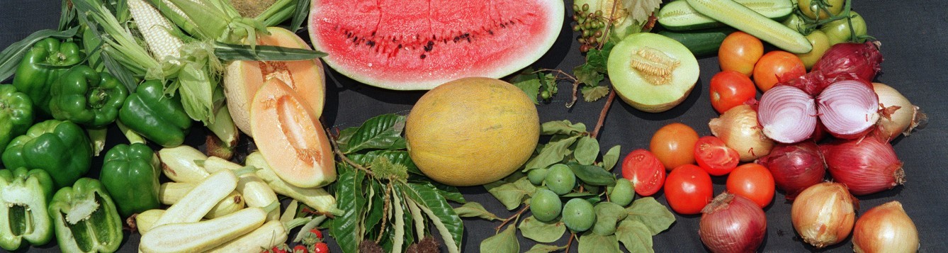 Assortment of fruits and vegetables laid out on a table. [CREDIT: UF/IFAS]